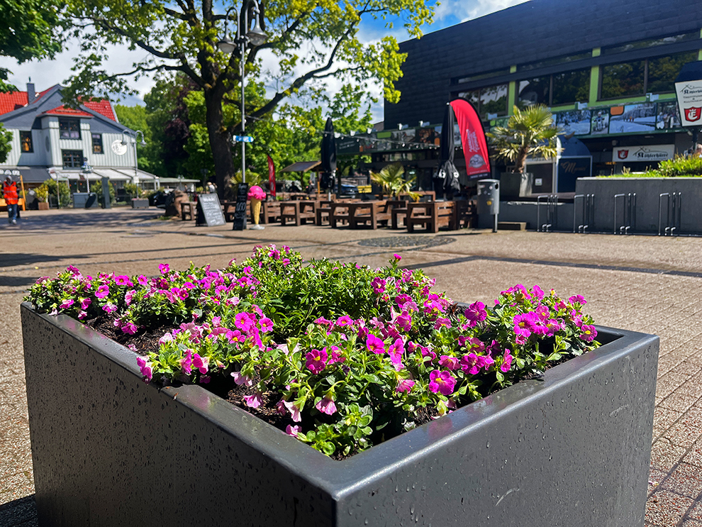 Hahnenklee-Bockswiese-Touristikverein-Blumenkuebel-Rathausstrasse